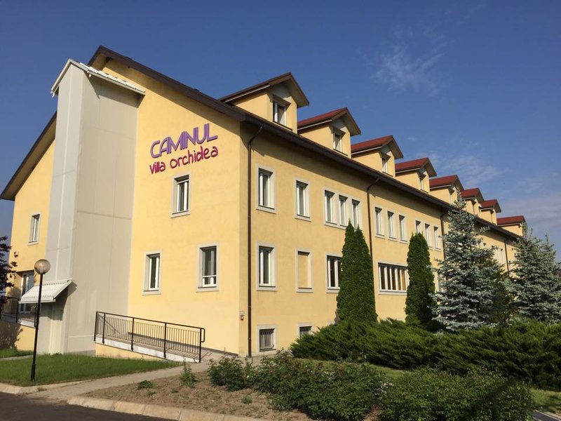 Caminul Villa Orchidea - Dambovita